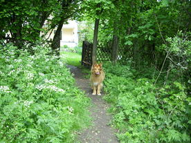 2010-06-04/DSCI6547.JPG