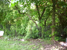 2010-06-04/DSCI6550.JPG