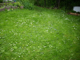 2010-06-04/DSCI6552.JPG