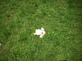 2010-06-04/DSCI6554.JPG