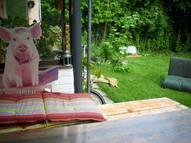 2010-06-04/DSCI6560.JPG