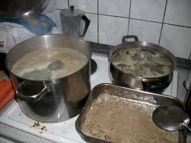 2010-06-04/DSCI6569.JPG