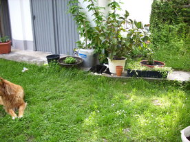 2010-06-04/DSCI6571.JPG