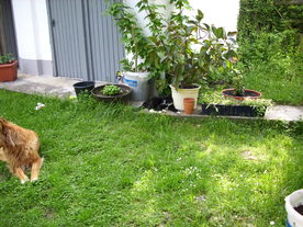 2010-06-04/DSCI6572.JPG