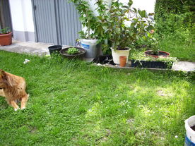 2010-06-04/DSCI6573.JPG