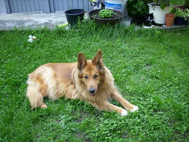 2010-06-04/DSCI6576.JPG