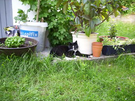 2010-06-04/DSCI6578.JPG