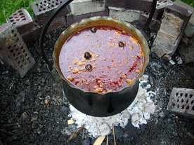 2010-06-04/DSCI6590.JPG