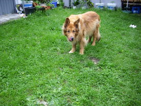 2010-06-04/DSCI6591.JPG