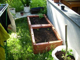 2010-06-04/DSCI6592.JPG