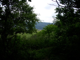 2010-07-01/DSCI6595.JPG