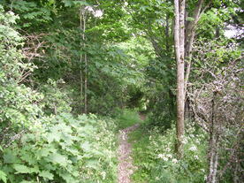 2010-07-01/DSCI6596.JPG
