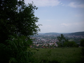 2010-07-01/DSCI6598.JPG