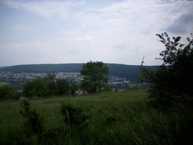 2010-07-01/DSCI6599.JPG