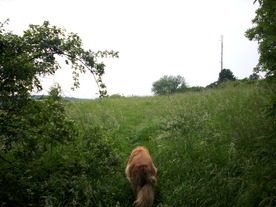 2010-07-01/DSCI6600.JPG