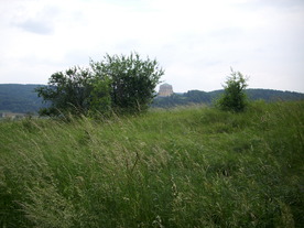 2010-07-01/DSCI6601.JPG