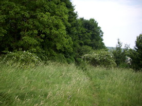 2010-07-01/DSCI6608.JPG