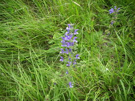 2010-07-01/DSCI6609.JPG