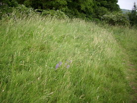 2010-07-01/DSCI6611.JPG