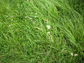 2010-07-01/DSCI6613.JPG