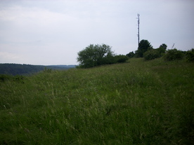 2010-07-01/DSCI6615.JPG