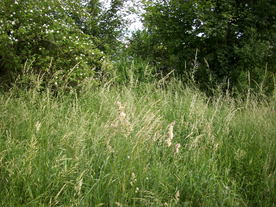 2010-07-01/DSCI6621.JPG