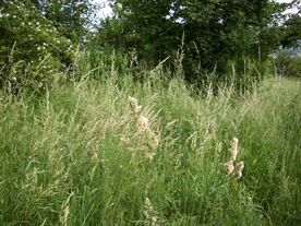 2010-07-01/DSCI6622.JPG