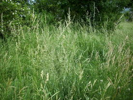 2010-07-01/DSCI6623.JPG