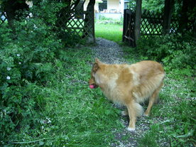 2010-07-01/DSCI6629.JPG