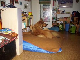 2010-07-01/DSCI6632.JPG