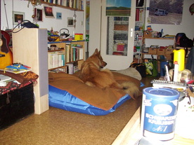 2010-07-01/DSCI6634.JPG