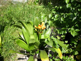 2010-07-01/DSCI6640.JPG