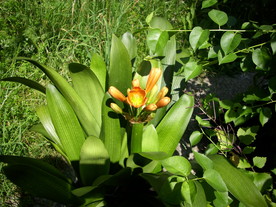 2010-07-01/DSCI6641.JPG