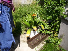 2010-07-01/DSCI6642.JPG