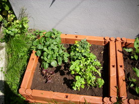 2010-07-01/DSCI6643.JPG