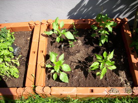 2010-07-01/DSCI6644.JPG