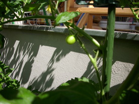 2010-07-01/DSCI6645.JPG