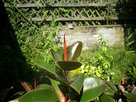 2010-07-01/DSCI6649.JPG
