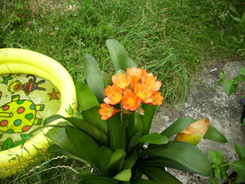 2010-08-24/DSCI6654.JPG