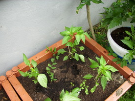 2010-08-24/DSCI6655.JPG