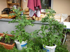 2010-08-24/DSCI6657.JPG