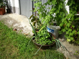 2010-08-24/DSCI6660.JPG