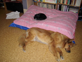 2010-08-24/DSCI6662.JPG