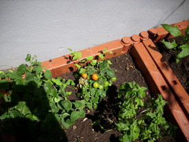 2010-08-24/DSCI6663.JPG