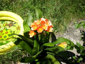 2010-08-24/DSCI6664.JPG