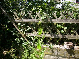 2010-08-24/DSCI6665.JPG