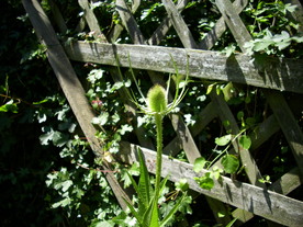2010-08-24/DSCI6666.JPG