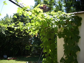 2010-08-24/DSCI6669.JPG