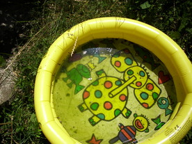 2010-08-24/DSCI6670.JPG