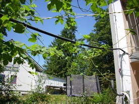 2010-08-24/DSCI6674.JPG